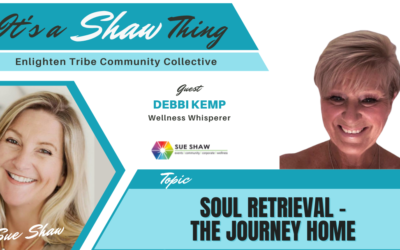 Soul Retrieval The Journey Home Debbi Kemp