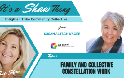 Family and Collective Constellation Work ~ Susan Altschwager